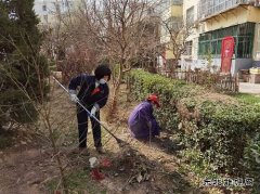 蒲白中心社区：用责任和担当“扮靓”矿区容颜